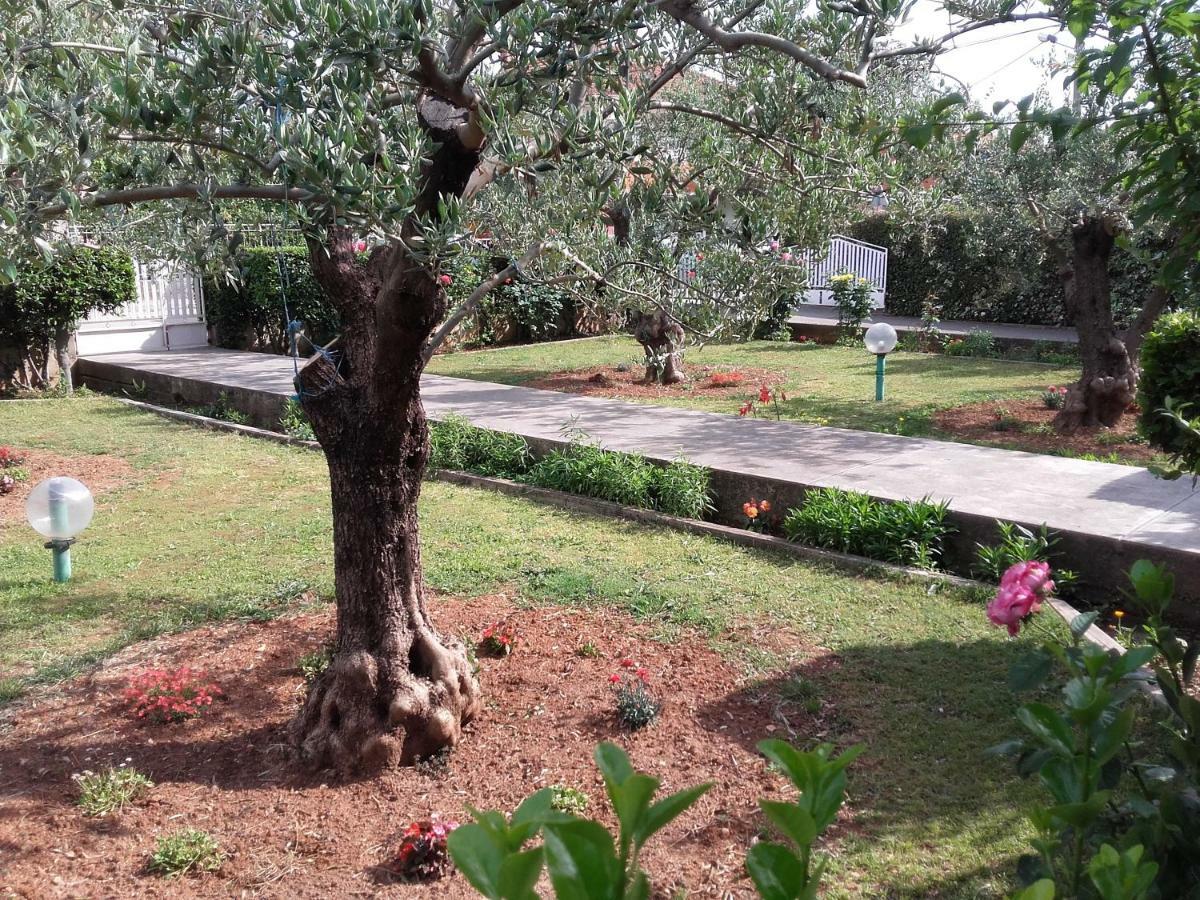 Apartament Vlado Zadar